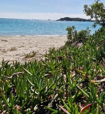 Lägenhetshotell T2 4 Personnes De Vacances Avec 3 Piscines Les Hameaux De Saint Cyprien De Porto-vecchio 3*